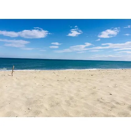 Rez De Jardin + Terrasse Piscine Et Acces Direct Plage *