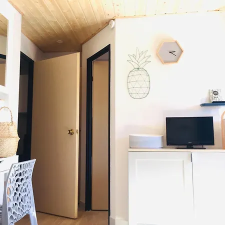 Rez De Jardin + Terrasse Piscine Et Acces Direct Plage Saint-Cyprien